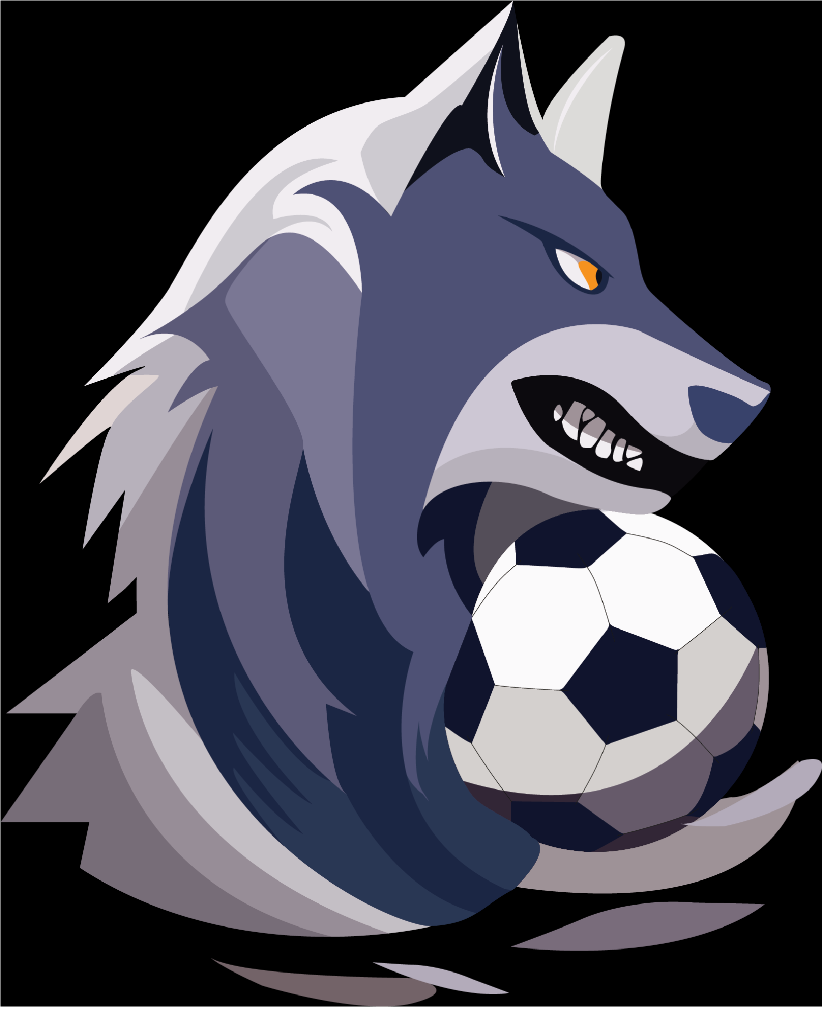 Social Soccer Society club image